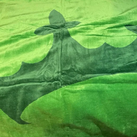 DraftKings Summer Tote Bundle - Picture 4 of 4